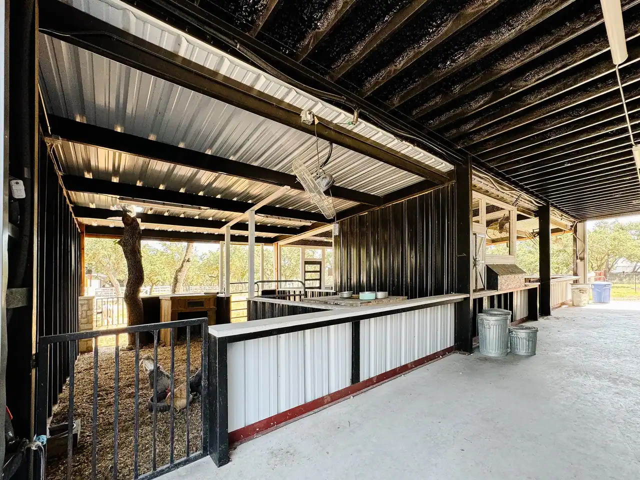 Wide view of an open-air barn with a chicken pen around a tree trunk, white panel half-walls, steel beams and hanging fans