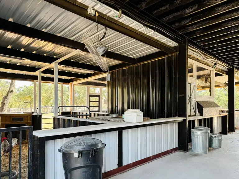 Open-air barn aisle with metal ceiling, black steel beams, white panel half-walls, fans, feed cans and a chicken pen