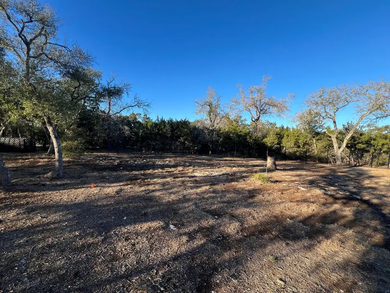 Open project site with mature trees before construction