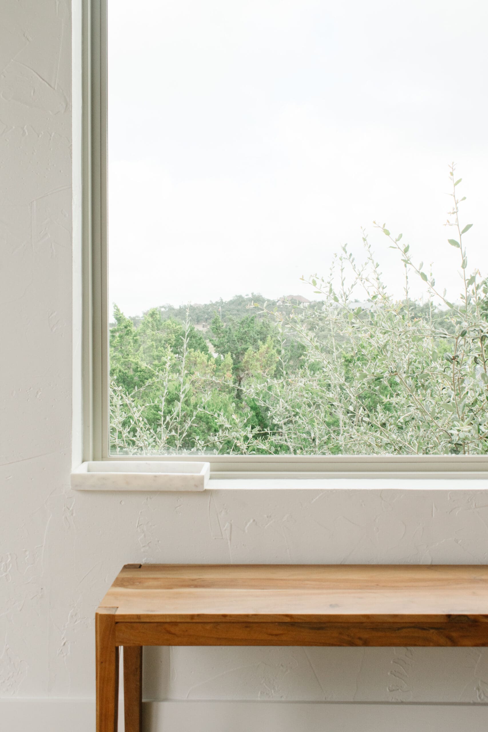Window view of Hill Country greenery from a custom home